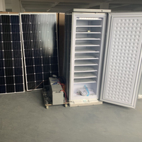 Congélateur vertical commercial 198L DC 24V à panneaux solaires et batterie gel, 11/7 plateaux, haute qualité, vente chaude