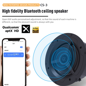 Altavoz de Techo Inalámbrico BT con Sistema de Audio y Amplificador para Cine en Casa Inteligente, Altifalante de Techo Comercial - Product Image 2