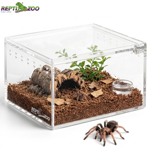 Terrario Acrílico Pequeño REPTIZOO de 10.5x8.5x6.5cm, Recinto para Invertebrados como Arañas Saltadoras, Tarántulas, Mantis y Isópodos - Product Image 1