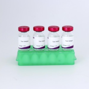 브루셀라 로즈 벤갈 플레이트 응집 검사 항원 - 수의 진단 키트 (OIE 표준) - Product Image 3