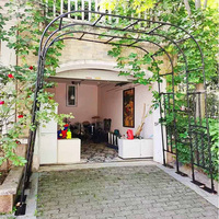 Pergola tubulaire en métal robuste NEUVE de 20 mm pour jardin, arche de mariage et toutes sortes de plantes avec base amovible