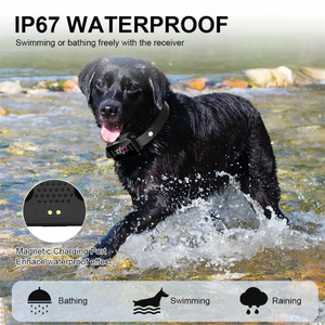 IPetDog 2024 plus récent collier de dressage pour <span class=keywords><strong>chien</strong></span> à distance Turbo Boost pour petits chiens de taille moyenne correcteur d'aboiements excessifs pour animaux de compagnie - Product Image 2