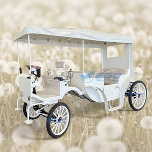 Bus de tourisme électrique à double rangée de sièges, calèche électrique sans chevaux, style personnalisé, calèche de princesse européenne, vente chaude - Product Image 1