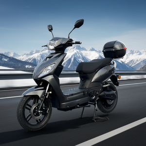 <span class=keywords><strong>Scooter</strong></span> électrique 48V 1000W 16 pouces, <span class=keywords><strong>homologué</strong></span> EEC COC, directement de l'usine OEM ODM, pour les distributeurs - Product Image 1
