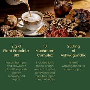 LIFEWORTH Mushroom Plant-Based <strong>Protein</strong> <strong>Powder</strong> with Lion's Mane Reishi Adaptogen Blend for Immune Support and Muscle <strong>Recovery</strong> - Product Image 3