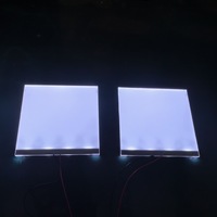 Panel LED de retroiluminación personalizado 3V 5V 12V 24V Módulo de pantalla para pantalla LCD Tamaño pequeño