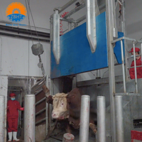 Chaîne de sanglaison pour bétail robuste galvanisée avec crochet de sécurité pour l'abattage des bovins en abattoir