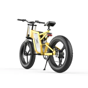Ebike 공급 업체 저렴한 가격 새로운 디자인 자전거 전기 도시 자전거 20in 휠 전자 자전거 슈퍼 지방 타이어 전기 자전거 부품