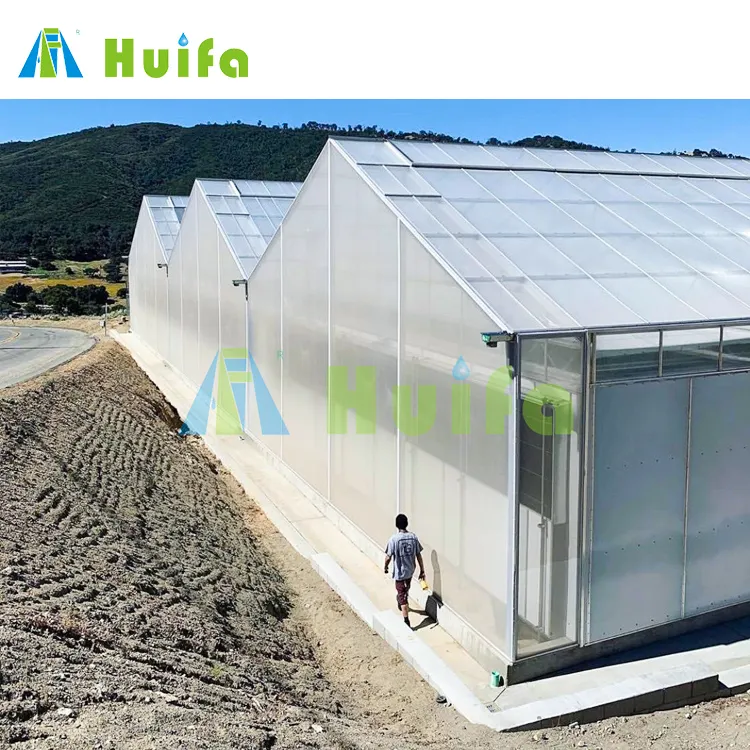 Greenhouse escuro híbrido multi-span casa verde estrutura à venda