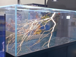 เขากวางธรรมชาติเนื้อบางคุณภาพสูงเหมือนเขากวางในตู้ปลา - Product Image 2