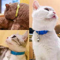 Mini-étiquette d'identification anti-perte en métal argenté pour animaux de compagnie, tube cylindrique pour collier de chien, chat et chiot, avec espace pour adresse et nom