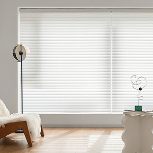 Persianas Shangri-<span class=keywords><strong>La</strong></span> de doble ventana, persianas enrollables motorizadas Alexa con pantalla transparente, instalación integrada, persianas <span class=keywords><strong>Shangrila</strong></span> - Product Image 2