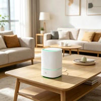 Mini humidificateur ultrasonique portable USB en gros, diffuseur d'arômes, purificateur d'air avec lumière LED, diffuseur de brume pour l'intérieur de la voiture