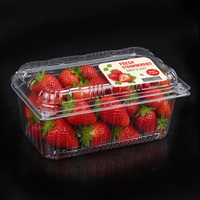 Boîtes à clapet transparentes en PET recyclé écologiques jetables pour collations, desserts et biscuits - Emballage alimentaire personnalisable