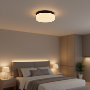 Plafonnier LED moderne de 12 pouces, encastré, en fer noir, avec couvercle en plastique acrylique, 2700K blanc chaud, pour cuisine, chambre à coucher - Product Image 2