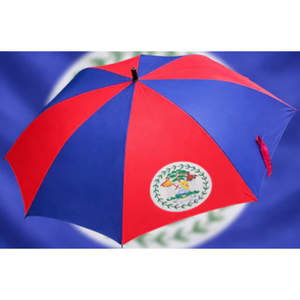 Parapluie pliable avec drapeau du Belize, ouverture/fermeture automatique, résistant au vent, anti-UV, parapluie de pluie portable, parapluies pliants de voyage et panneaux personnalisés, nouveauté - Product Image 1