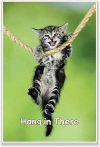 Affiche personnalisée « Hang in There Cat » en gros pour décoration murale, impressions sur toile, affiche pour art mural amusant, décoration moderne pour la maison, sans cadre - Product Image 4
