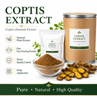 LongBio Extrait de Rhizome de Coptis Chinensis en Poudre Berbérine 10%-98% HPLC Huang Lian Matière Première Botanique Naturelle Approvisionnement en Vrac OEM