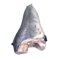 Filet de poisson épée sauvage biologique, surgelé IQF, désossé, coupé en blocs, portions, poisson d'océan, export, fournisseur en gros