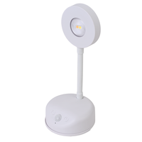Nouvelle Lampe Murale Sans Fil Économique avec Détecteur de Mouvement, Projecteur Rechargeable pour Tableaux et Peintures
