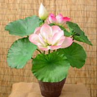 Prix de gros : Décoration artificielle de lotus à toucher réel, fleur de lys d'eau de simulation, élégante