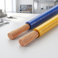 Fil de cuivre massif BV PVC 450/750V pour le câblage interne des bobines de moteur, connexion des fils, machine électrique, stator, rotor