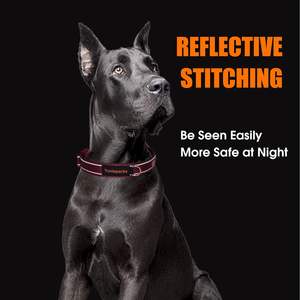 Yunleparks Collier de chien rembourré en néoprène, collier en nylon pour petits et grands chiens, robuste avec boucle en métal, réfléchissant (grand, - Product Image 2