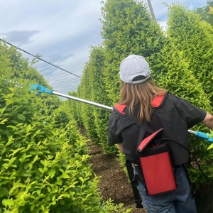 Pin Lithium Powered Không Dây Dài Đạt Kính Thiên Văn Cực Cắt tỉa Cây Cắt tỉa Kéo Cắt Điện Cưa Với Phần Mở Rộng Cực - Product Image 4