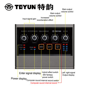 TEYUN Q16 Tarjeta de Sonido USB Transmisión en Vivo Guitarra Eléctrica Monitor de Canto Grabación PC Estudio Monitoreo de Grabación Sonido DE LA Computadora - Product Image 2