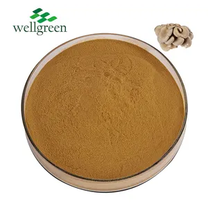 厂家出口天然灵芝舞茸狮鬃毛茶香菇提取物粉30% 多糖