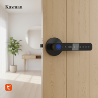 Kunci Pintu Pintar Kasman SOURCE PRICE Smart Door Handle Lock Otomatis untuk Rumah, Tuya Smart Lock dengan Integrasi Api