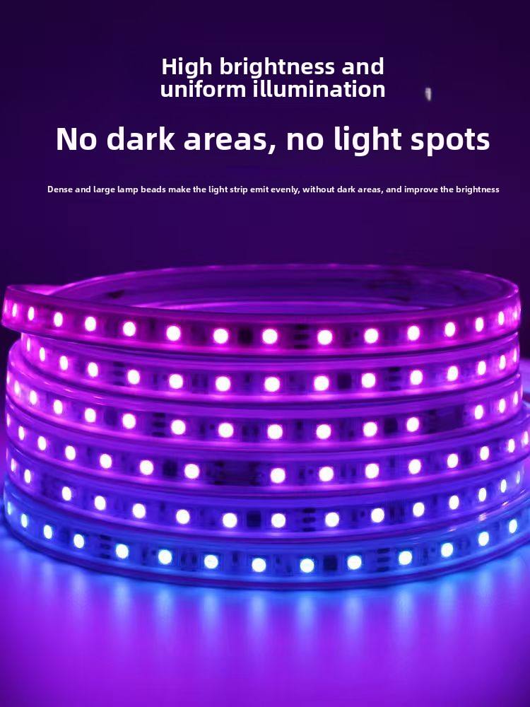 RGB 24V SMD 5050 LED Strip Light 110v 220v Waterproof Smart Controller Remote for Outdoor Christmas Lights Decoration