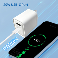 Caricatore USB C a Doppia Porta 20W, Adattatore da Muro per Ricarica Rapida A+C, Spina USA, Caricatore per Telefono 15 14 13 Pro Max