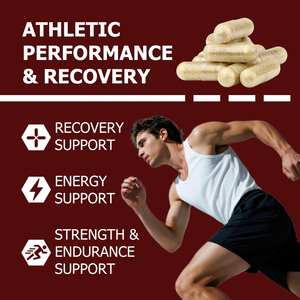Private Label <b>Creatine</b> <b>Monohydrate</b> Capsules Contains 3000 mg <b>Creatine</b> <b>Monohydrate</b> Recovery Support <b>Monohydrate</b> <b>Creatine</b> Capsules - Product Image 5