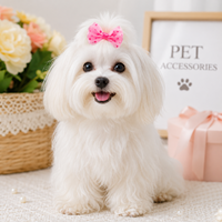 Pince à cheveux pour animaux de compagnie, nœud double couche à pois, style mignon, motif tête de chien, accessoire pour animaux, petite tresse décorative pour toutes les races
