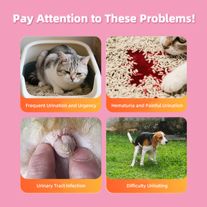 Natural Pet UTI traitement vessie soutien canneberge liquide gouttes urinaires supplément pour chiens et chats - Product Image 4
