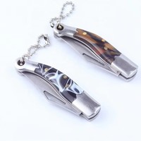 Couteau de poche pliable miniature portable en acier inoxydable durable, multifonction, porte-clés, pendentif, camping