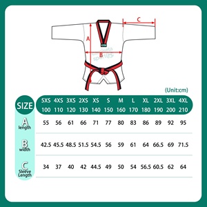 Uniforme de Taekwondo Poomsae en tissu polyester et coton, tenue d'entraînement et de démonstration d'arts martiaux, service OEM - Product Image 4