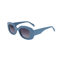 2025 dernières lunettes de soleil unisexes de créateur avec plaque épaisse monture en acétate de haute qualité verres polarisés Logo personnalisé sur la lentille
