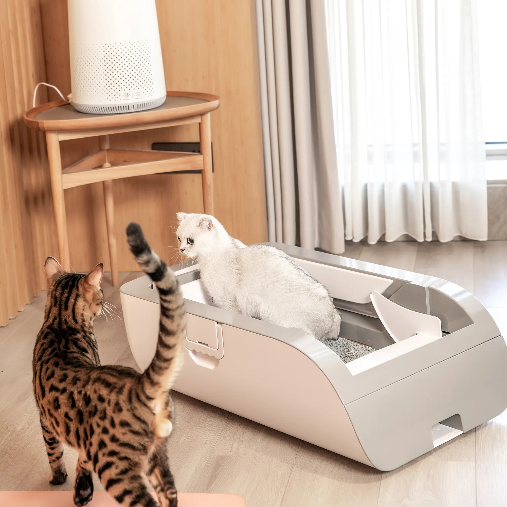 पालतू उत्पाद निर्माता स्मार्ट बिल्ली कूड़े बॉक्स बिल्ली कूड़े स्वचालित बॉक्स स्वयं सफाई बिल्ली कूड़े बॉक्स