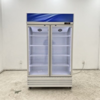 Vitrine Réfrigérée Grande Capacité Sans Givre avec Serrure à Clé de Sécurité pour Boissons, Sodas, Bières, Jus – Idéale pour Magasins de Détail