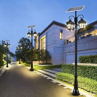 Lampes solaires de jardin, 2,5 mètres, double tête LED, étanches, télécommandées, pour jardin, cour résidentielle, lampadaire de rue