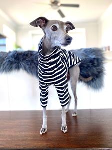 Qiqu Pet Shop Online Product Zwart-wit Gestreepte Voor Hond Italiaanse Windhond Whippet Sighthound Comfortabele Kleine Ras - Product Image 2