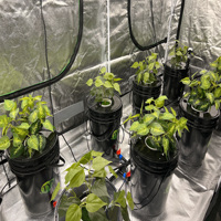 Tentes de culture LED à spectre complet pour plantes - Système hydroponique domestique moderne en acier et aluminium, étanche, avec irrigation écologique