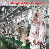 Équipement d'abattage clé en main pour moutons et chèvres, ligne complète d'équipement d'abattage de chèvres, machines pour usine de transformation de viande, directement de l'usine