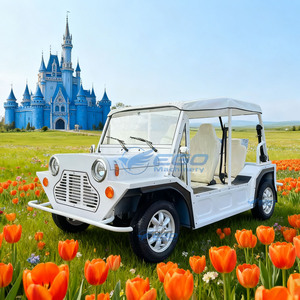 Voiture électrique de tourisme rétro à double rangée de sièges, couleur personnalisable, cabine spacieuse, carrosserie en acier stable et durable, véhicule de tourisme haut de gamme XCEGO - Product Image 6