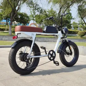 Herolion Motos-bicicleta eléctrica, Motor eléctrico