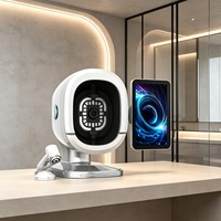 Analyseur de peau facial intelligent pour le visage avec 5 modes d'éclairage, design pliable, gestion des données WiFi et Cloud, écran tactile, utilisation commerciale