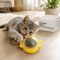 Jouet interactif pour chat en forme d'abeille, rotatif, avec herbe à chat et argentier, pour chatons et chats adultes