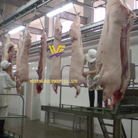 Vente directe en usine Ligne complète d'abattage de porcs clé en main Ligne d'abattoir de porcs Équipement d'abattoir de porcs